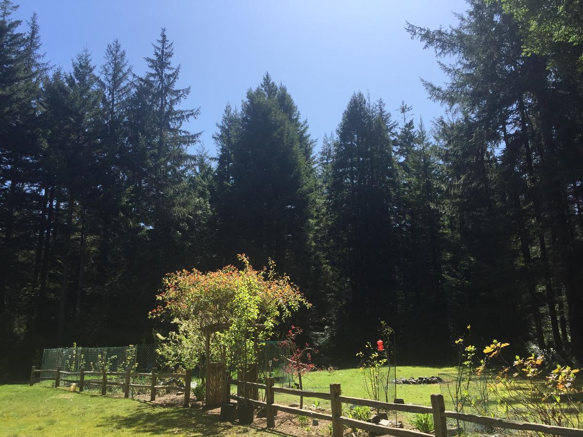 קרסנט סיטי Redwood Forest מראה חיצוני תמונה
